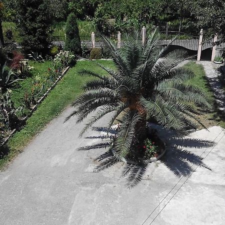 Guest House Vitali โกนิโอ ภายนอก รูปภาพ
