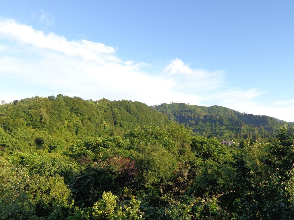 Guest House Vitali โกนิโอ ภายนอก รูปภาพ